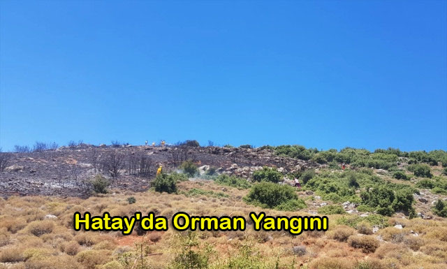 Hatay’da Orman Yangını