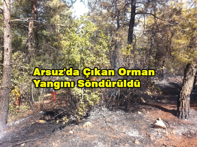 Arsuz’da  Orman Yangını
