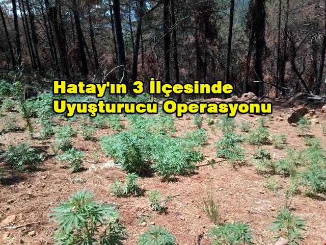 Hatay’ın 3 İlçesinde Uyuşturucu Operasyonu