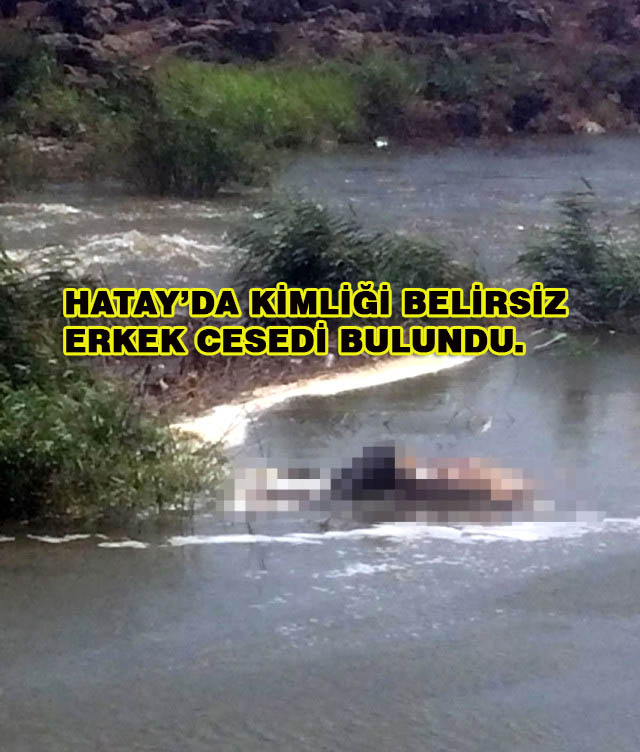 Hatay’da Kimliği Belirsiz Erkek Cesedi Bulundu.