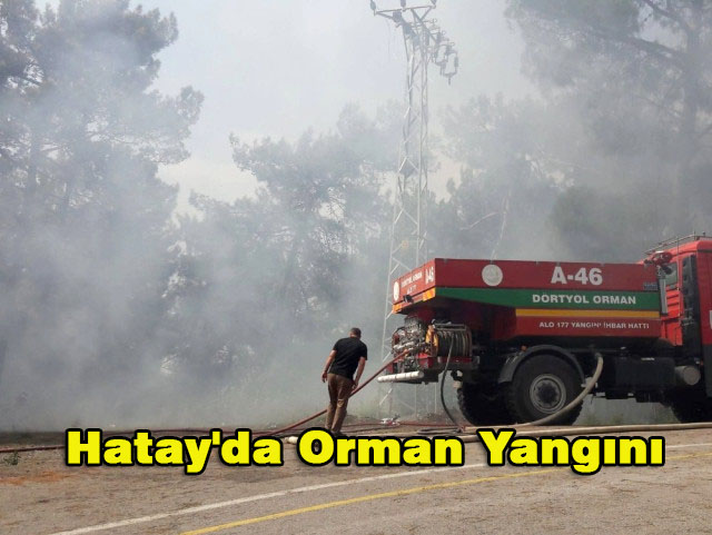 Hatay’da Orman Yangını