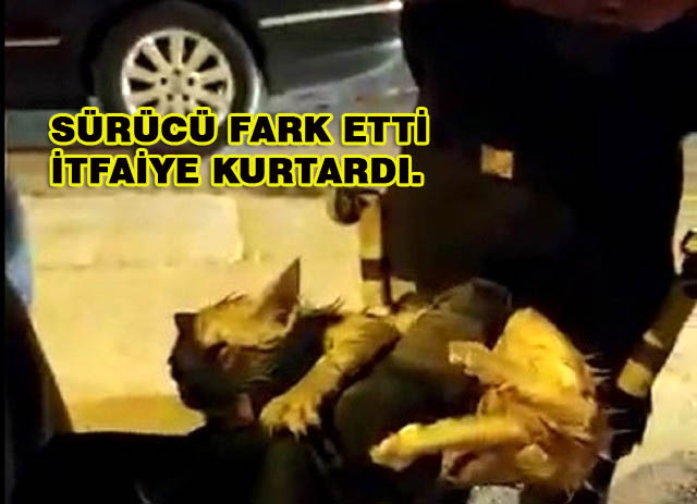 Sürücü Fark Etti İtfaiye Kurtardı.