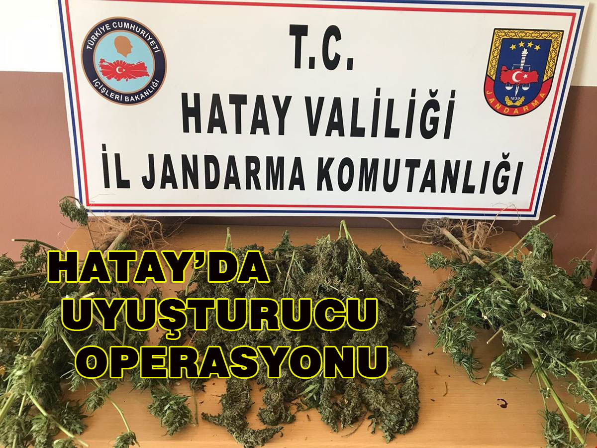 Hatay’da Uyuşturucu Operasyonu.