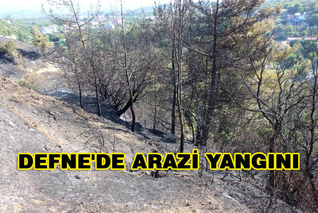 Defne’de Arazi Yangını