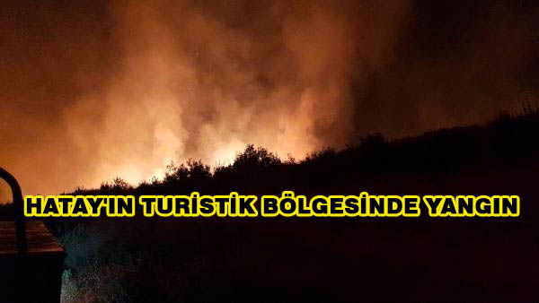 Hatay’ın Turistik Bölgesinde Yangın