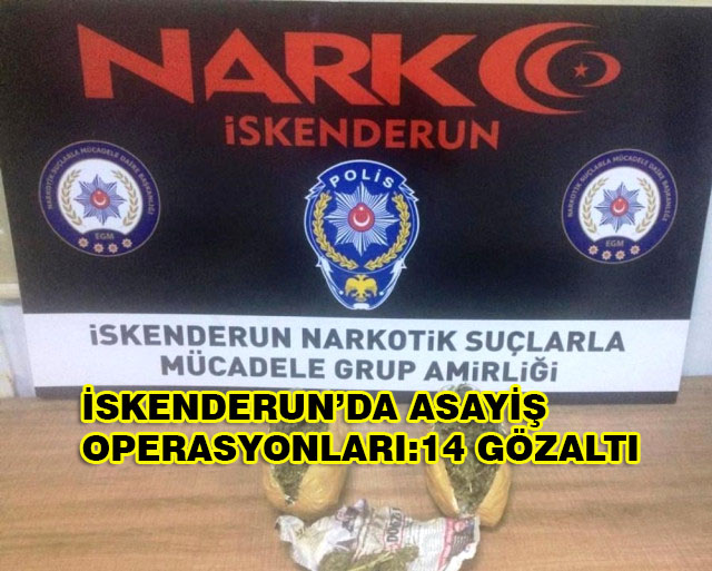 İskenderun’da Asayiş Operasyonları: 14 Gözaltı