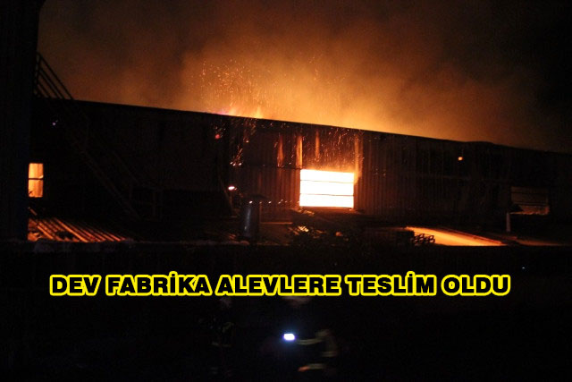 Hatay’da Dev Fabrika Alevlere Teslim Oldu