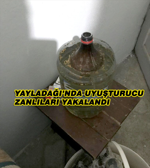 Yayladağı’nda Uyuşturucu Operasyonu: 8 Gözaltı