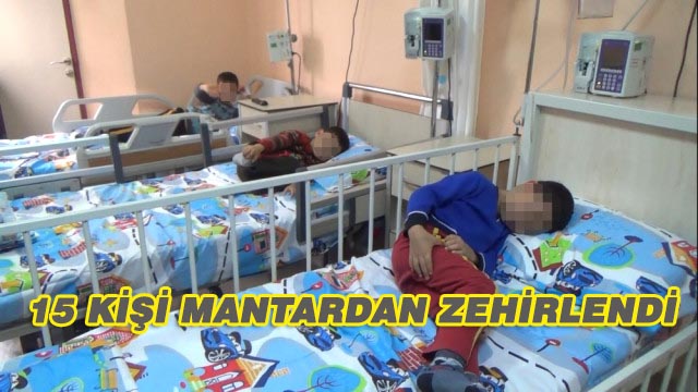 15 Kişi Mantardan Zehirlendi