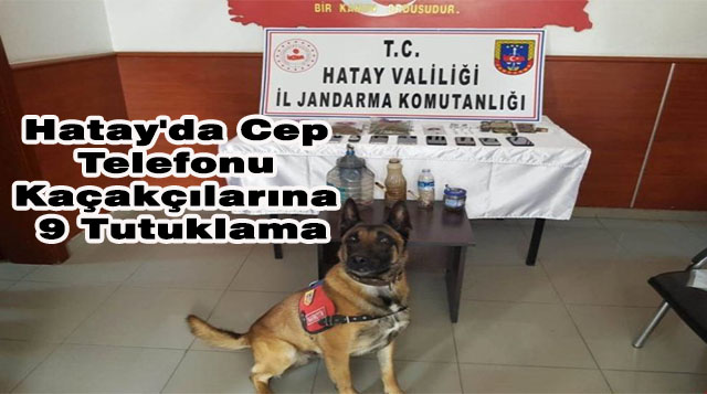 Hatay’da Cep Telefonu Kaçakçılarına 9 Tutuklama