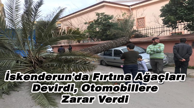 İskenderun’da Fırtına Ağaçları Devirdi, Otomobillere Zarar Verdi