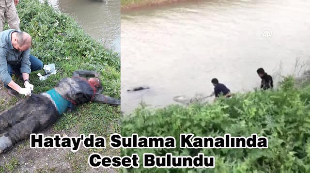 Hatay’da Sulama Kanalında Ceset Bulundu