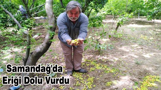 Samandağ’da Eriği Dolu Vurdu