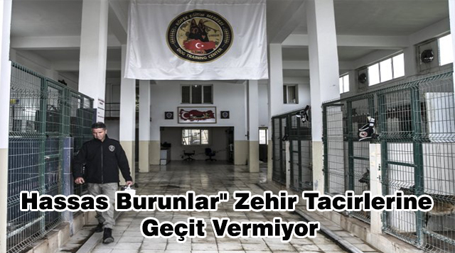 Hassas Burunlar” Zehir Tacirlerine Geçit Vermiyor