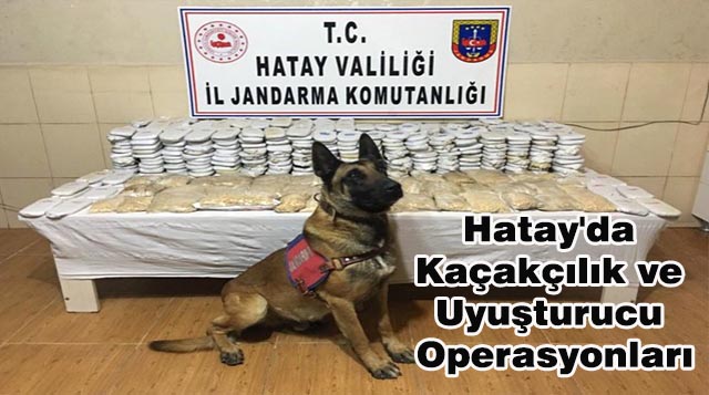 Hatay’da Kaçakçılık ve Uyuşturucu Operasyonları
