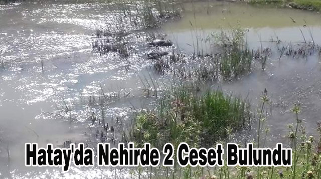 Hatay’da Nehirde 2 Ceset Bulundu