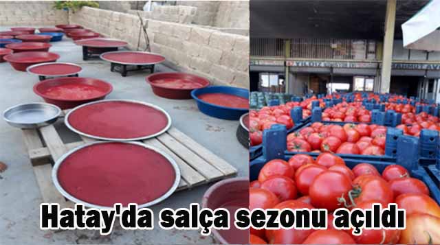 Hatay’da salça sezonu açıldı