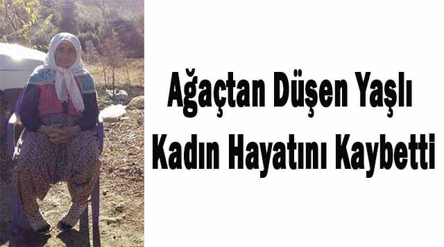 Ağaçtan Düşen Yaşlı Kadın Hayatını Kaybetti