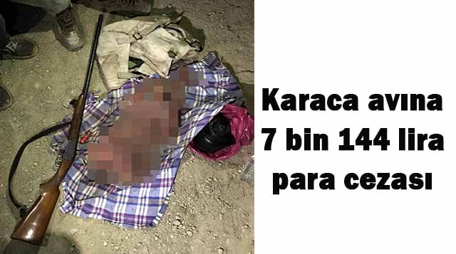 Karaca avına 7 bin 144 lira para cezası
