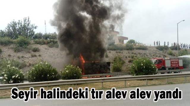 Seyir halindeki tır alev alev yandı