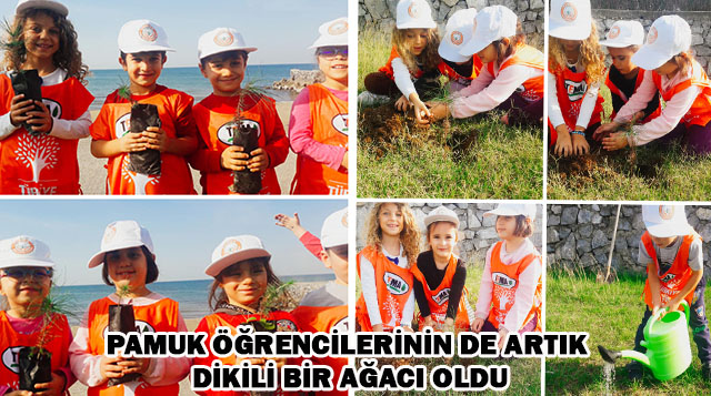 Pamuk öğrencilerinin de artık dikili bir ağacı oldu