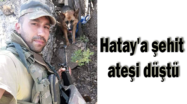 Hatay’a şehit ateşi düştü
