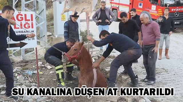 Su kanalına düşen at kurtarıldı