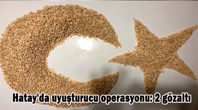 Hatay’da uyuşturucu operasyonu: 2 gözaltı