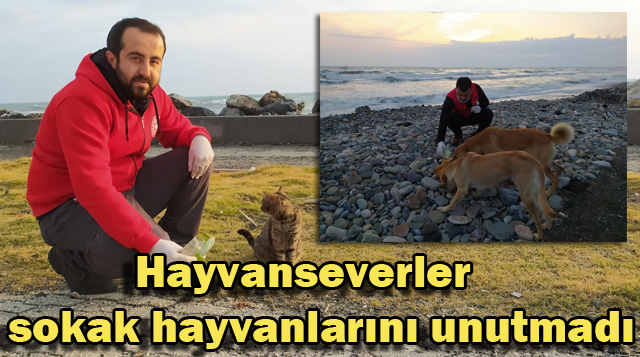 Hayvanseverler sokak hayvanlarını unutmadı