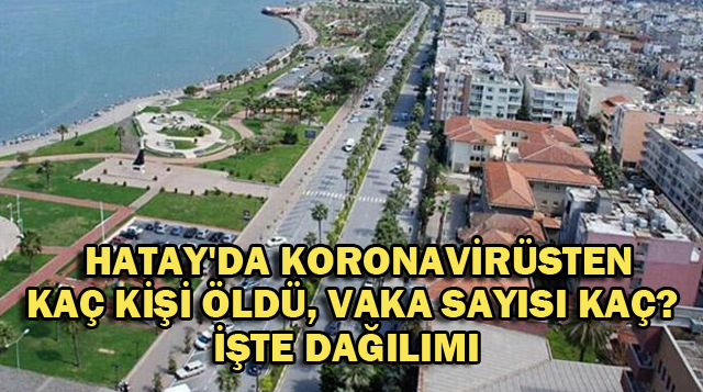 HATAY’DA KORONAVİRÜSTEN KAÇ KİŞİ ÖLDÜ, VAKA SAYISI KAÇ? İŞTE DAĞILIMI