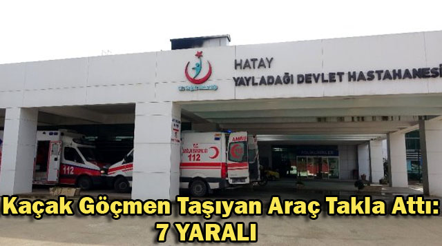 Kaçak Göçmen Taşıyan Araç Takla Attı: 7 Yaralı