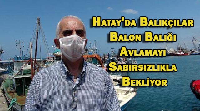 Hatay’da Balıkçılar Balon Balığı Avlamayı Sabırsızlıkla Bekliyor