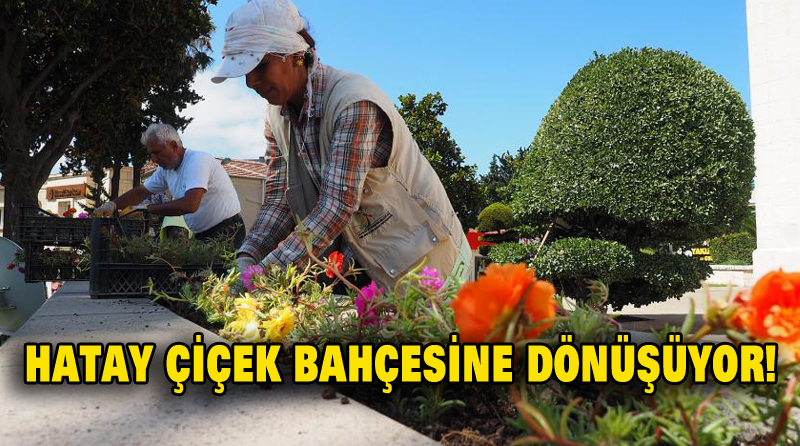 HATAY ÇİÇEK BAHÇESİNE DÖNÜŞÜYOR!