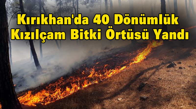Kırıkhan’da 40 Dönümlük Kızılçam Bitki Örtüsü Yandı