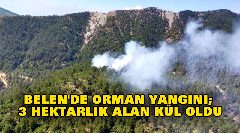 BELEN’DE ORMAN YANGINI; 3 HEKTARLIK ALAN KÜL OLDU