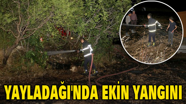 YAYLADAĞI’NDA EKİN YANGINI