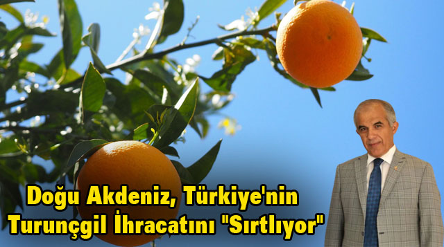 Doğu Akdeniz, Türkiye’nin Turunçgil İhracatını “Sırtlıyor”