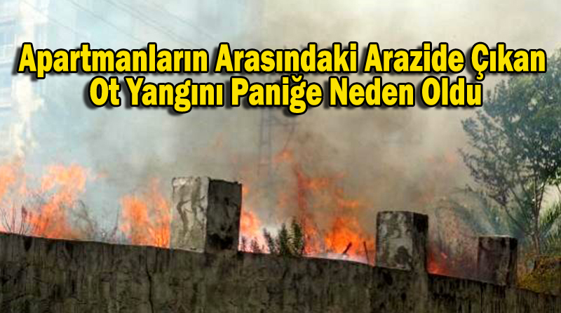 Apartmanların Arasındaki Arazide Çıkan Ot Yangını Paniğe Neden Oldu