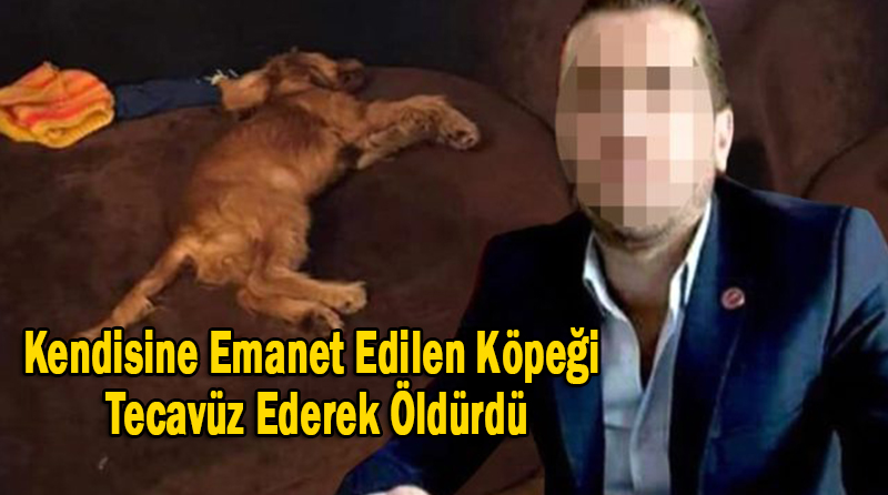 Kendisine Emanet Edilen Köpeği Tecavüz Ederek Öldürdü