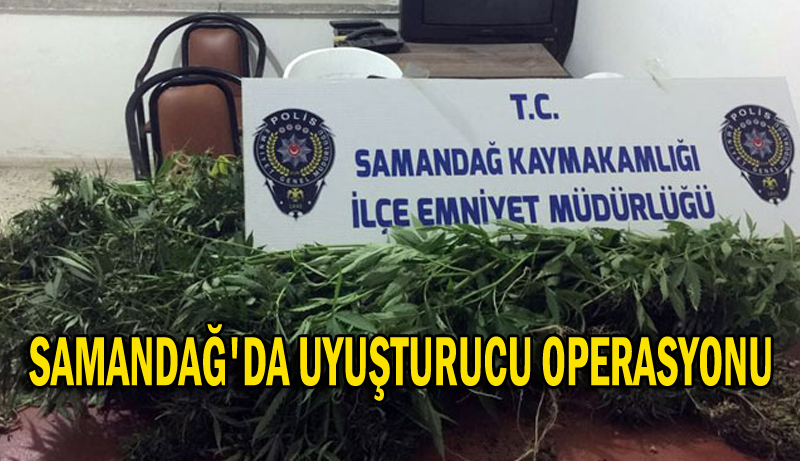 SAMANDAĞ’^DA UYUŞTURUCU OPERASYONU