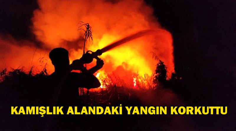 KAMIŞLIK ALANDAKİ YANGIN KORKUTTU