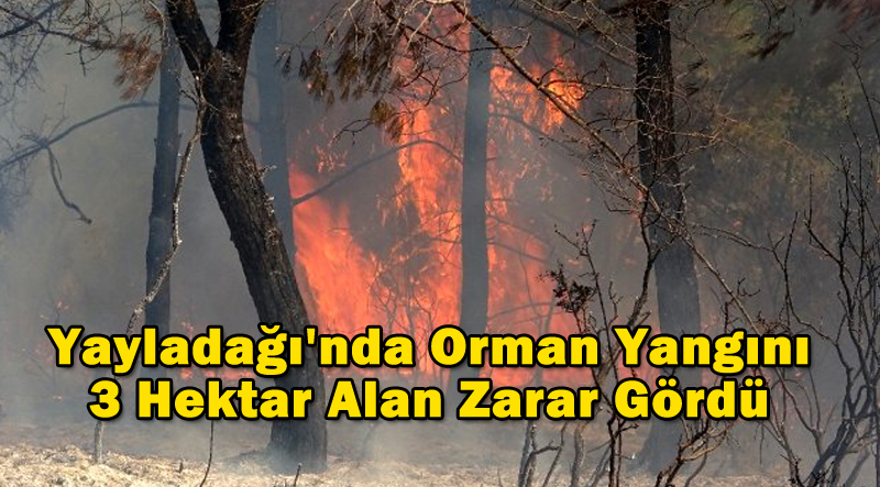 Yayladağı’nda Orman Yangını: 3 Hektar Alan Zarar Gördü