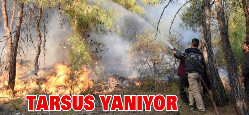 TARSUS YANIYOR