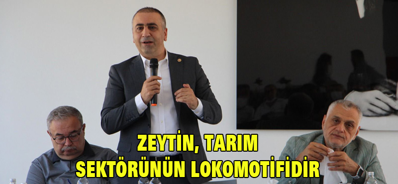 ZEYTİN, TARIM SEKTÖRÜNÜN LOKOMOTİFİDİR