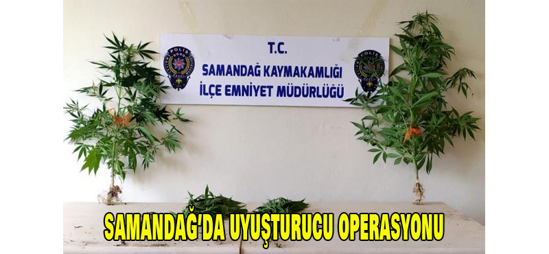 SAMANDAĞ’DA UYUŞTURUCU OPERASYONU