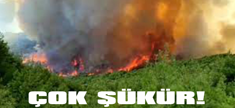 ÇOK ŞÜKÜR