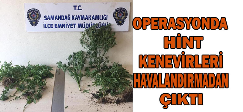 OPERASYONDA HİNT KENEVİRLERİ HAVALANDIRMADAN ÇIKTI!