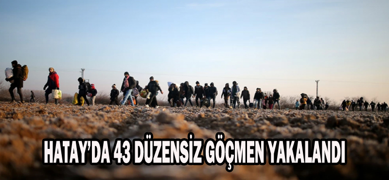 HATAY’DA 43 DÜZENSİZ GÖÇMEN YAKALANDI.