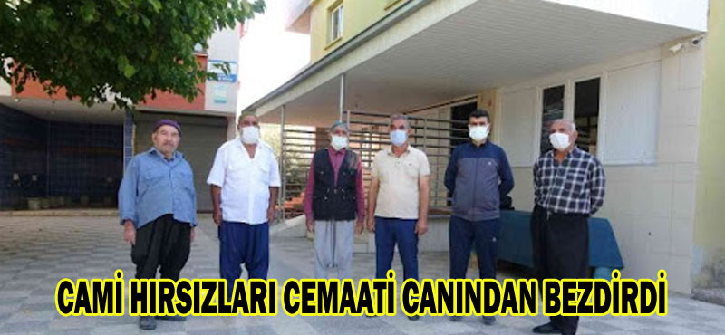 CAMİ HIRSIZLARI CEMAATİ CANINDAN BEZDİRDİ