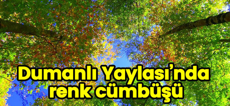 DUMANLI YAYLASINDA RENK CÜMBÜŞÜ